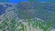 Lukewarm ocean (Image via Minecraft Wiki)